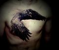 ivan yug - realism tattoos, raven