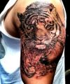tiger tattootumblr