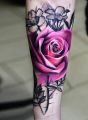 pink rose on hand