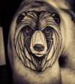 bear tattoo on arm for men