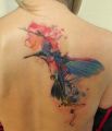 koliber tatuaże na plecach