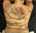 white rose tattoo on back