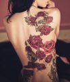 czerwone róże tatuaże na plecach