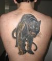 pantera tatuaż na plecach