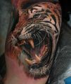 realistic tattoo tiger