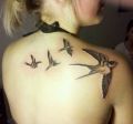swallows tattoos