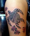 turtle maori tattoo