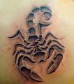 3d scorpion tattoo design