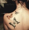 trzy motyle tatuaże na łopatkę