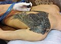 tatuowanie skrzydeł na plecach