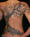 big tree tattoo on back