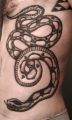 snake tattoo on ribs