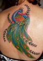 peacock tattoos on back