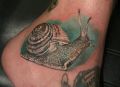tattoo ankle snail