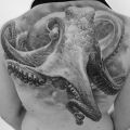 Amazing Octopus on back