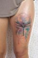 dragonfly watercolor tattoo