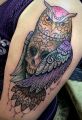 owl and skull on arm tattoo