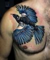 Tattoo Tui bird