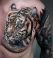 Realistic Tiger Face tattoo