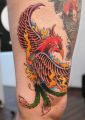 old school tattoo - phoenix