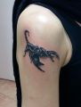 scorpio tattoo on arm