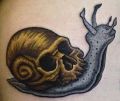 snail skull tattoo