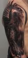 eagle shoulder tattoo for men