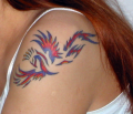 tatuaze 431