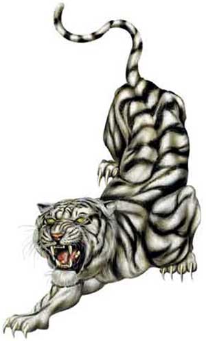 atakujący tygrys