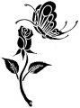 motyl i róża