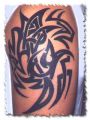 tatuaze 1650