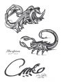 wzory tatuaży skorpiony