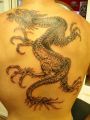 tatuaż z dużym smokiem na plecach