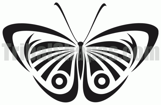 tatuaże wzory motyle