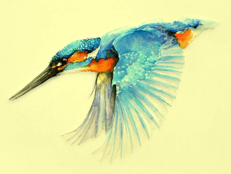 niebieski ptak wzory tatuaży