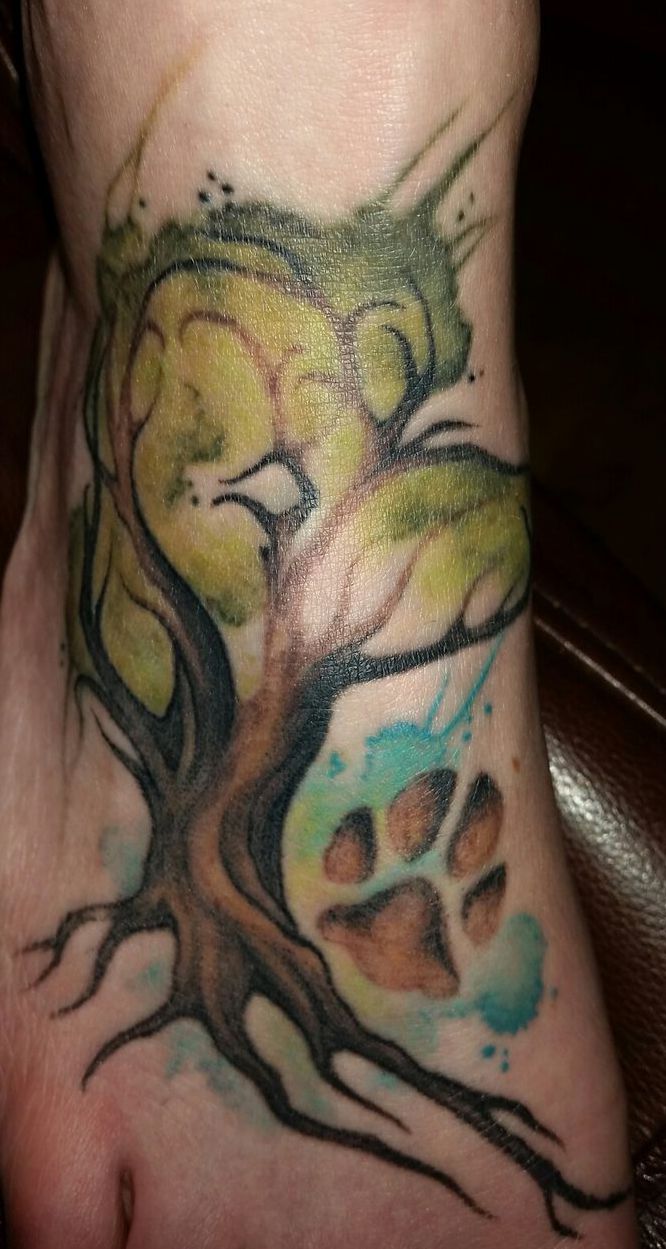 zielone drzewo tatuaż na stopie