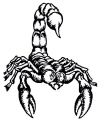 tattoo skorpion