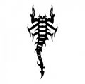 skorpion na ramię
