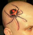 best tattoos 3d spider