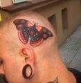 butterfly tattoo on the head