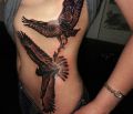 tattoos hawk