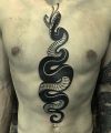 czarny wąż tatuaż na brzuchu
