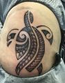 turtle tribal tattoo