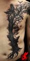 tatuaż czarne drzewo na brzuchu