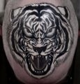 white tiger head tattoo