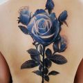blue rose tattoo on back