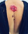 floral and nature tattoo