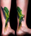 zielona papuga - tatuaż na stopie