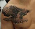 Hawk tattoo on chest