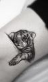 śpiacy tygrys - małe tatuaże